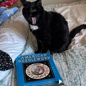American Needlework Book for Cat Lovers <Posh, you’re drunk!>